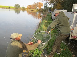 ein Kescher voll mit Fischen